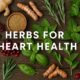High-res image of herbs and spices on rustic wood with text Top 15 Herbs for Heart Health promoting heart wellness.