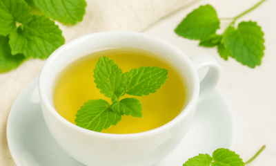 A cup of lemon balm tea with fresh leaves, set on a saucer, surrounded by green leaves and soft fabric in the background.