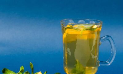 Lemon Balm benefits shown in a glass of herbal tea with lemon slices and mint leaves, styled on a blue background for a wellness vibe.