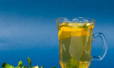 Lemon Balm benefits shown in a glass of herbal tea with lemon slices and mint leaves, styled on a blue background for a wellness vibe.
